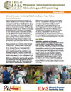 Resumen Ejecutivo: Reporte sectorial del Estudio de Monitoreo de la Economía Informal: Recicladores y recicladoras