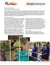 IEMS Executive Summary - Waste Pickers in Pune, India