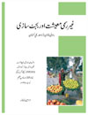 Urdu Translation - Informal Economy Budget Analysis in Pakistan