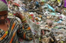 Brazilian waste picker
