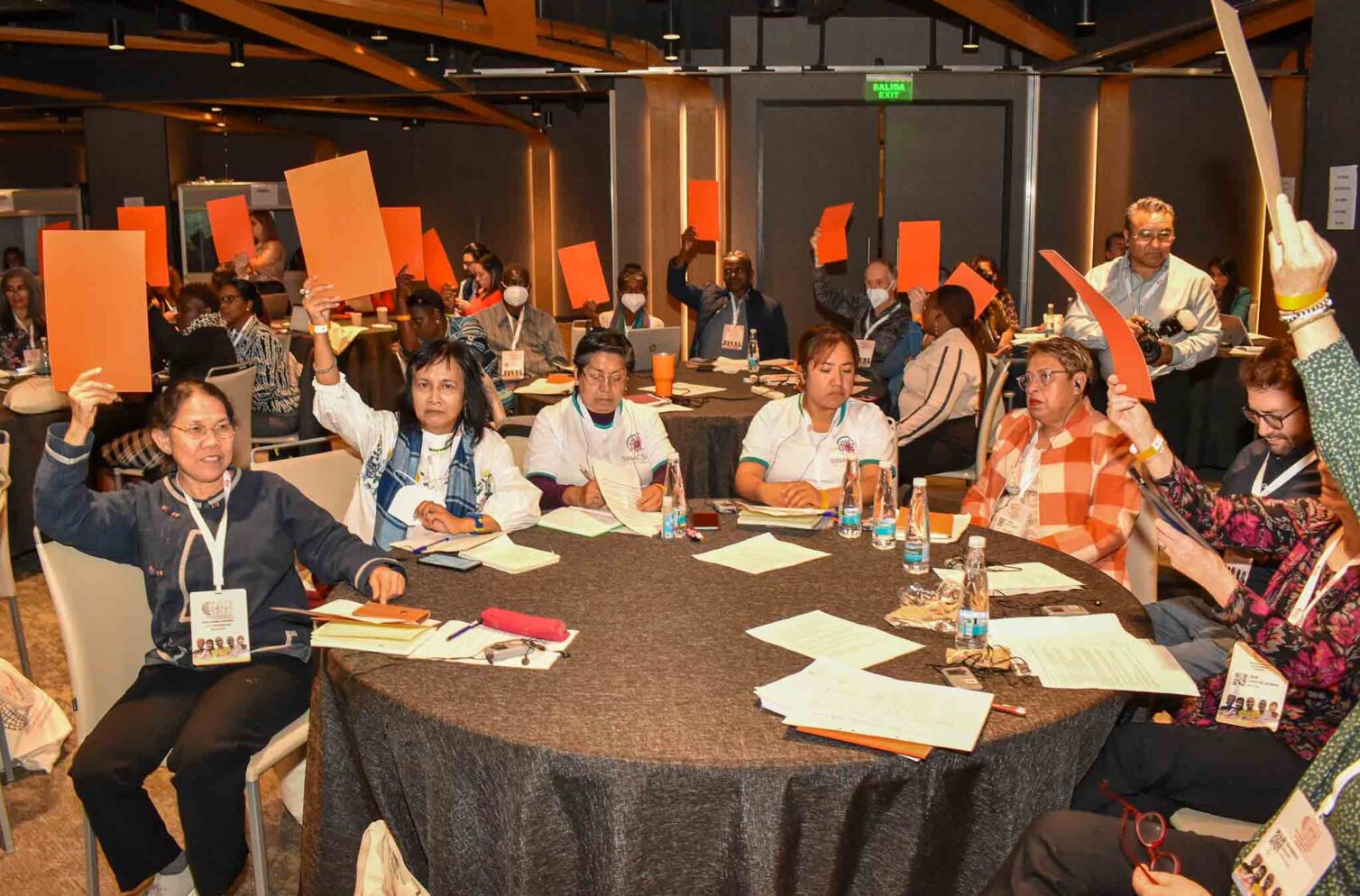 Institutional Members voting to adopt the strategic plan at WIEGO's 2022 General Assembly, with participants raising their hands in support